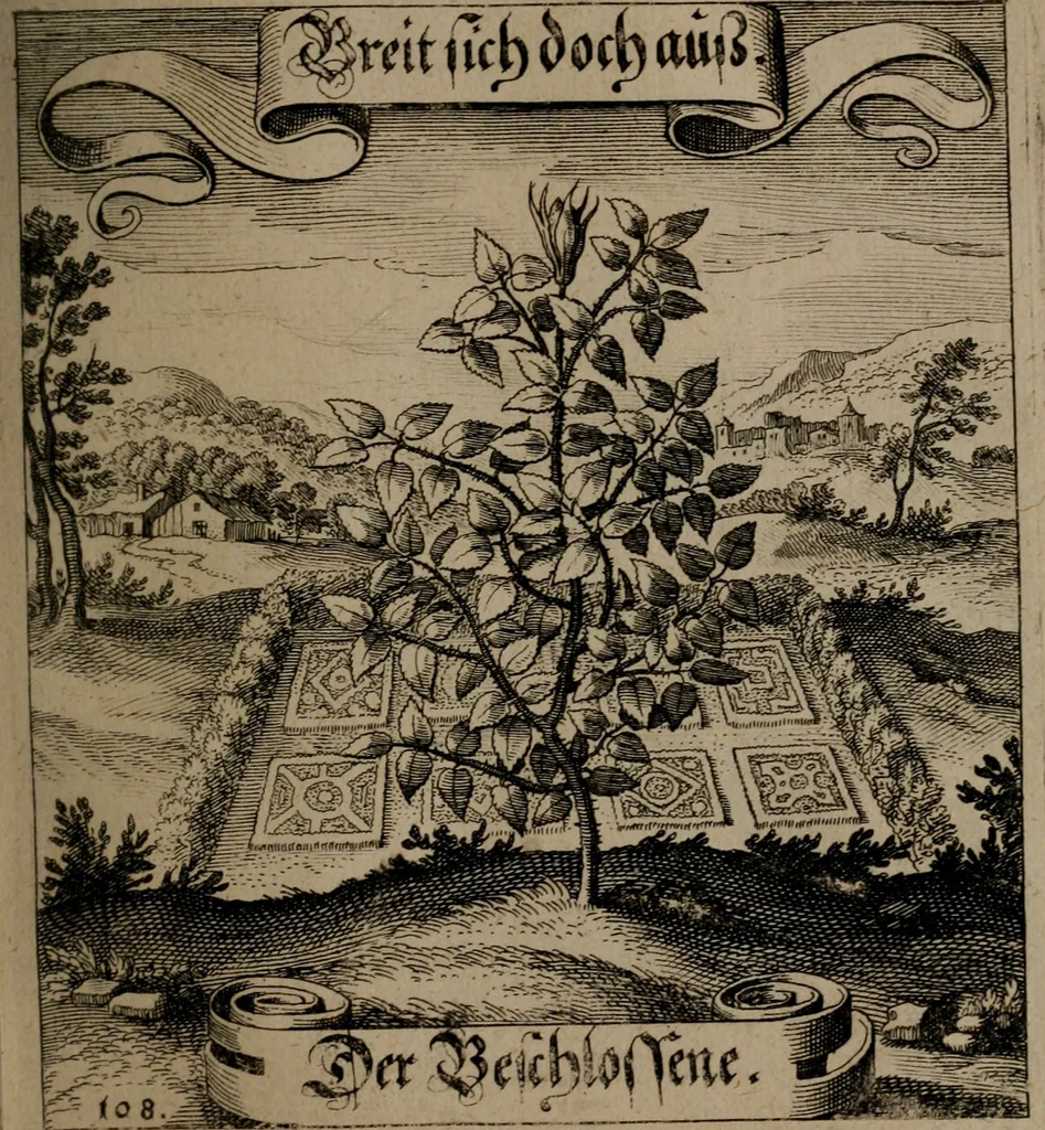 An illustration from Der Fruchtbringenden Geselschaft Nahmen, Vorhaben, Gemählde und Wörter : nach jedes Einnahme ordentlich in Kupfer gestochen, und in achtzeilige Reimgesetze verfasset, 1646, leaf 230