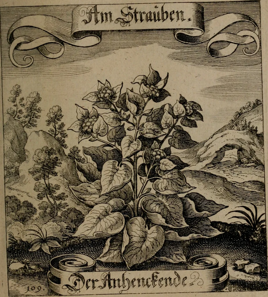 An illustration from Der Fruchtbringenden Geselschaft Nahmen, Vorhaben, Gemählde und Wörter : nach jedes Einnahme ordentlich in Kupfer gestochen, und in achtzeilige Reimgesetze verfasset, 1646, leaf 232