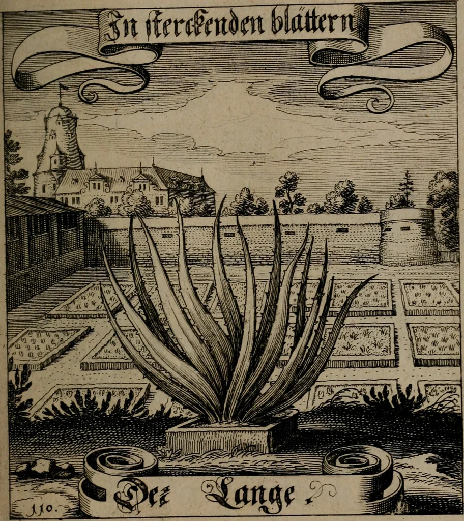 An illustration from Der Fruchtbringenden Geselschaft Nahmen, Vorhaben, Gemählde und Wörter : nach jedes Einnahme ordentlich in Kupfer gestochen, und in achtzeilige Reimgesetze verfasset, 1646, leaf 234