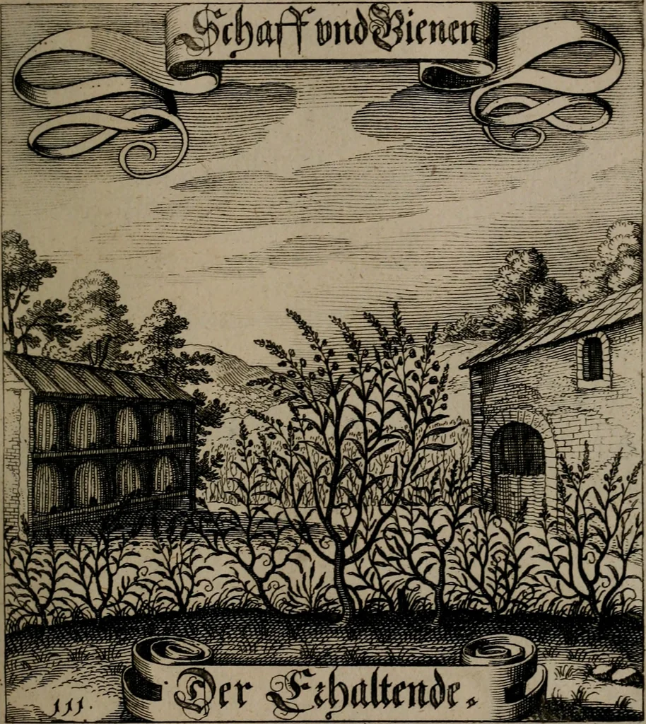 An illustration from Der Fruchtbringenden Geselschaft Nahmen, Vorhaben, Gemählde und Wörter : nach jedes Einnahme ordentlich in Kupfer gestochen, und in achtzeilige Reimgesetze verfasset, 1646, leaf 236