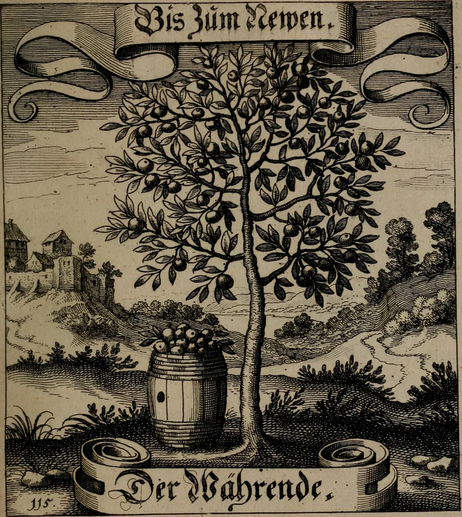An illustration from Der Fruchtbringenden Geselschaft Nahmen, Vorhaben, Gemählde und Wörter : nach jedes Einnahme ordentlich in Kupfer gestochen, und in achtzeilige Reimgesetze verfasset, 1646, leaf 244