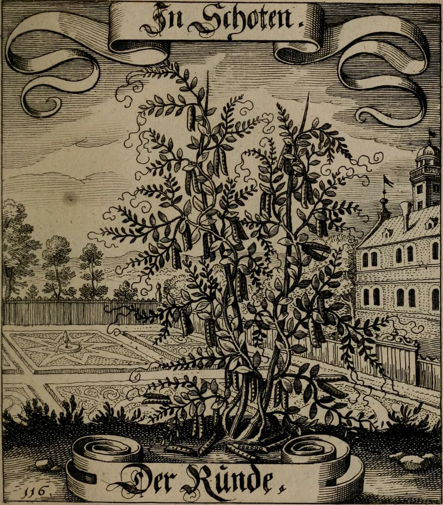 An illustration from Der Fruchtbringenden Geselschaft Nahmen, Vorhaben, Gemählde und Wörter : nach jedes Einnahme ordentlich in Kupfer gestochen, und in achtzeilige Reimgesetze verfasset, 1646, leaf 246