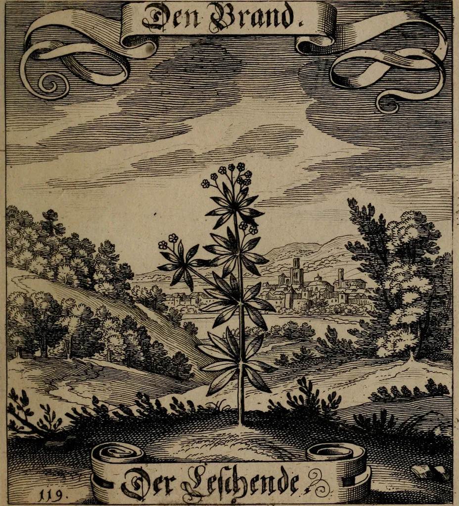 An illustration from Der Fruchtbringenden Geselschaft Nahmen, Vorhaben, Gemählde und Wörter : nach jedes Einnahme ordentlich in Kupfer gestochen, und in achtzeilige Reimgesetze verfasset, 1646, leaf 252