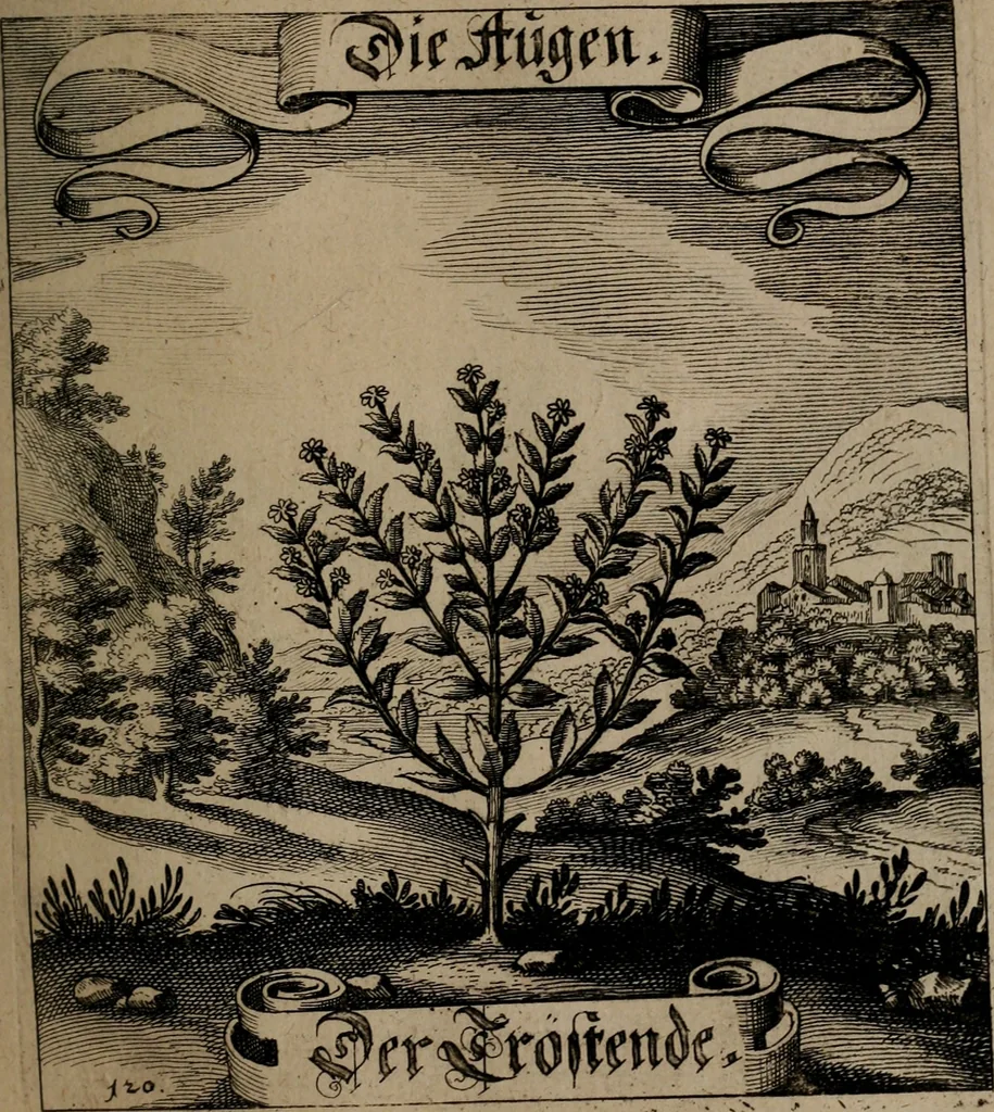 An illustration from Der Fruchtbringenden Geselschaft Nahmen, Vorhaben, Gemählde und Wörter : nach jedes Einnahme ordentlich in Kupfer gestochen, und in achtzeilige Reimgesetze verfasset, 1646, leaf 254