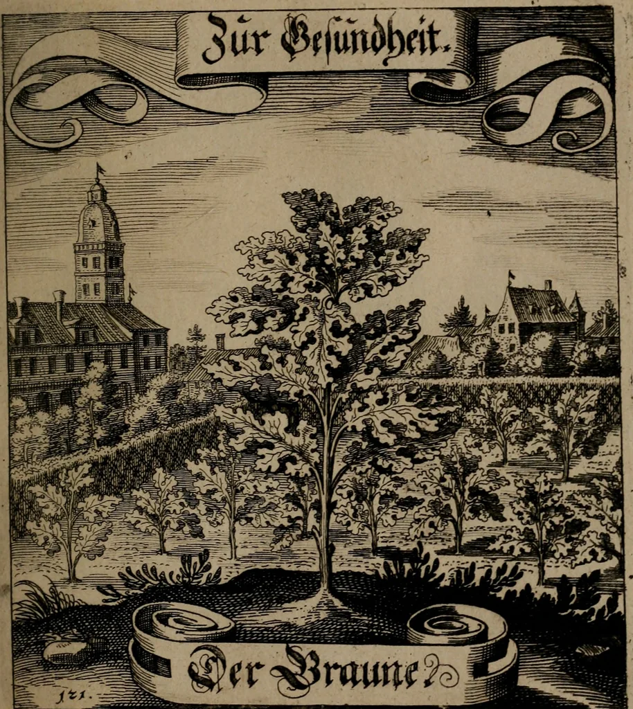 An illustration from Der Fruchtbringenden Geselschaft Nahmen, Vorhaben, Gemählde und Wörter : nach jedes Einnahme ordentlich in Kupfer gestochen, und in achtzeilige Reimgesetze verfasset, 1646, leaf 256