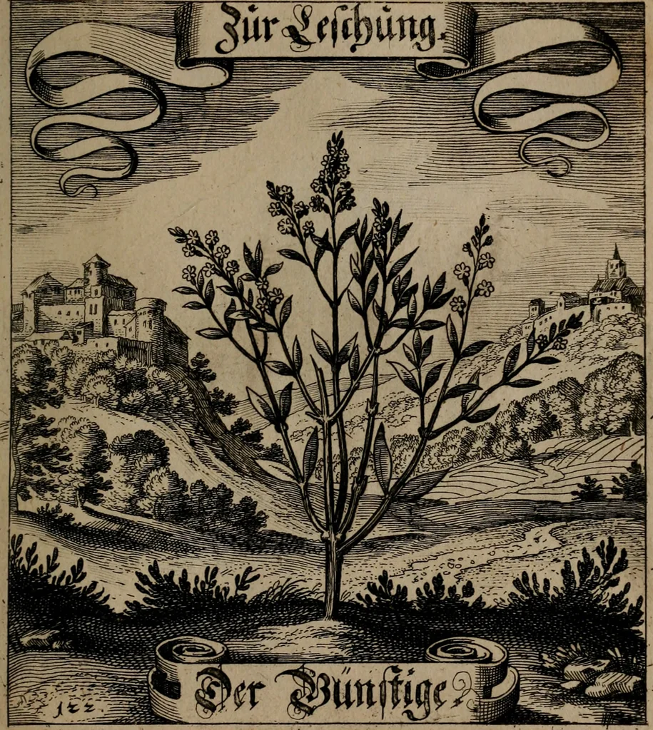 An illustration from Der Fruchtbringenden Geselschaft Nahmen, Vorhaben, Gemählde und Wörter : nach jedes Einnahme ordentlich in Kupfer gestochen, und in achtzeilige Reimgesetze verfasset, 1646, leaf 258