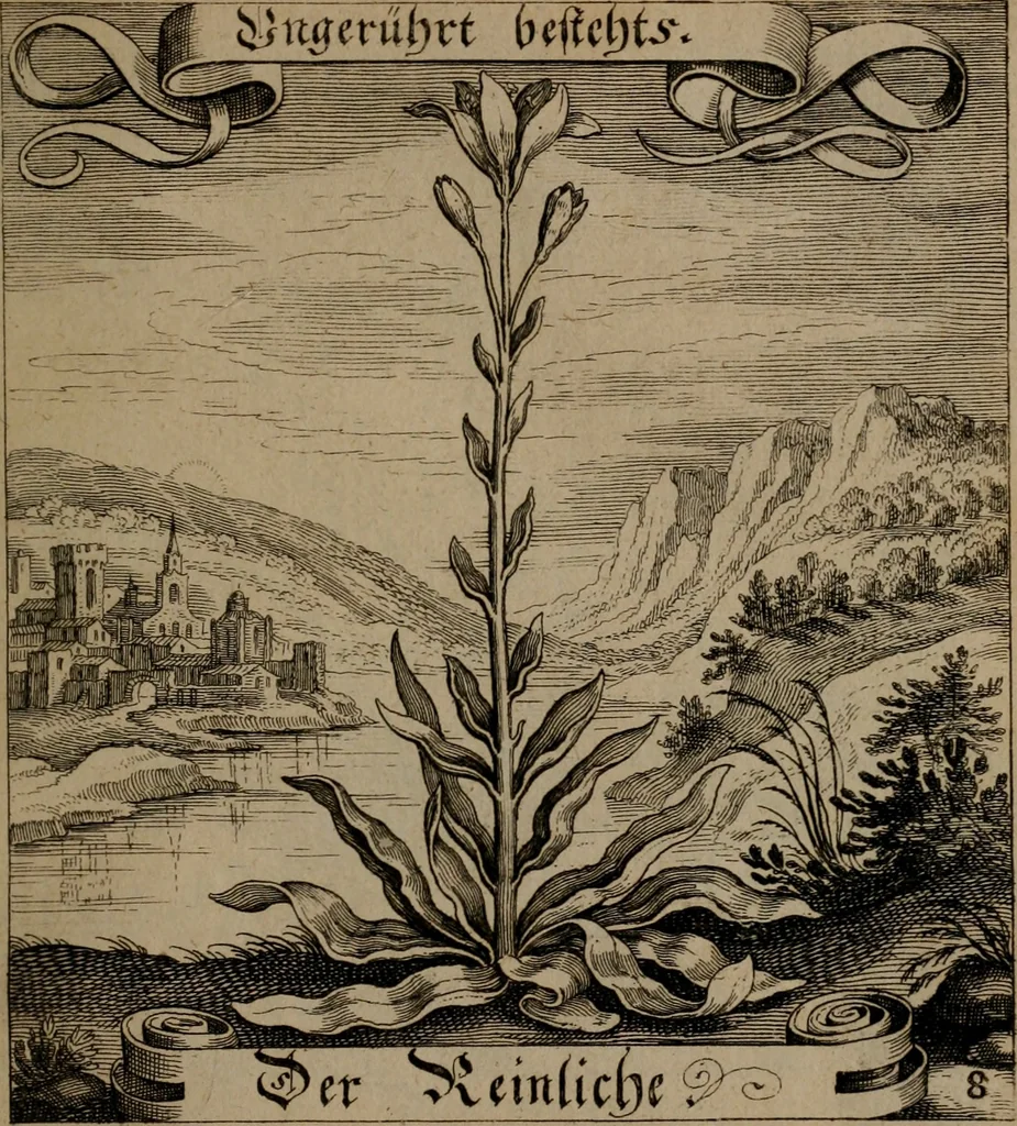An illustration from Der Fruchtbringenden Geselschaft Nahmen, Vorhaben, Gemählde und Wörter : nach jedes Einnahme ordentlich in Kupfer gestochen, und in achtzeilige Reimgesetze verfasset, 1646, leaf 26