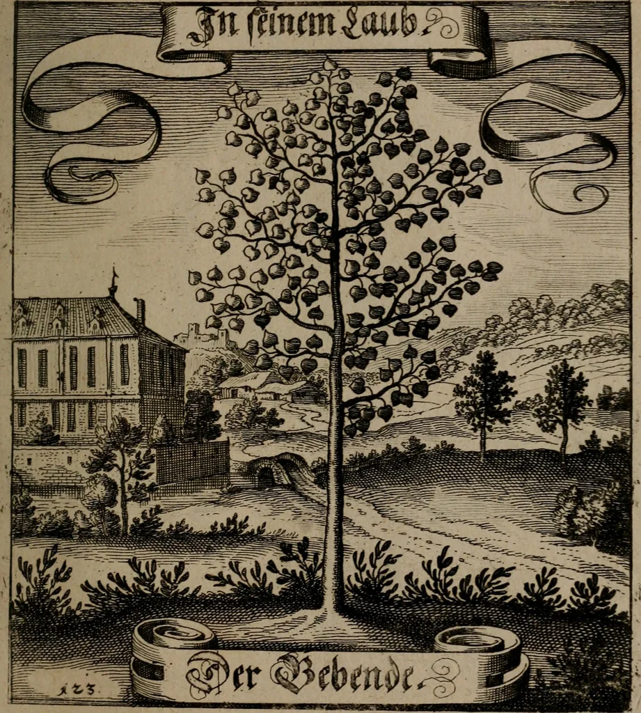 An illustration from Der Fruchtbringenden Geselschaft Nahmen, Vorhaben, Gemählde und Wörter : nach jedes Einnahme ordentlich in Kupfer gestochen, und in achtzeilige Reimgesetze verfasset, 1646, leaf 260