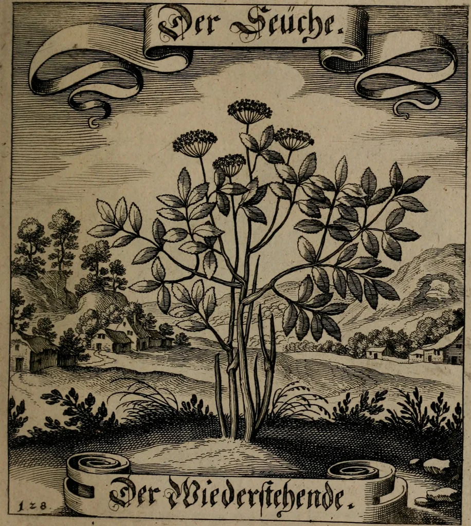 An illustration from Der Fruchtbringenden Geselschaft Nahmen, Vorhaben, Gemählde und Wörter : nach jedes Einnahme ordentlich in Kupfer gestochen, und in achtzeilige Reimgesetze verfasset, 1646, leaf 270
