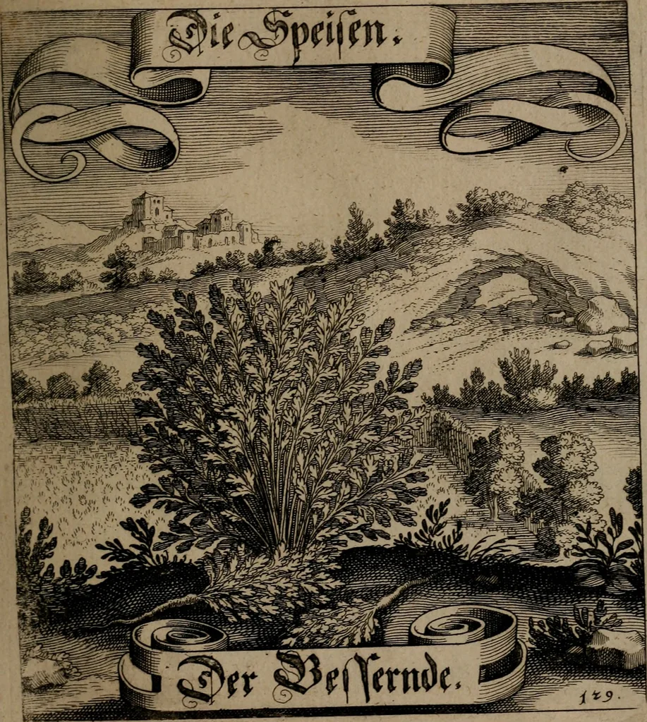 An illustration from Der Fruchtbringenden Geselschaft Nahmen, Vorhaben, Gemählde und Wörter : nach jedes Einnahme ordentlich in Kupfer gestochen, und in achtzeilige Reimgesetze verfasset, 1646, leaf 272