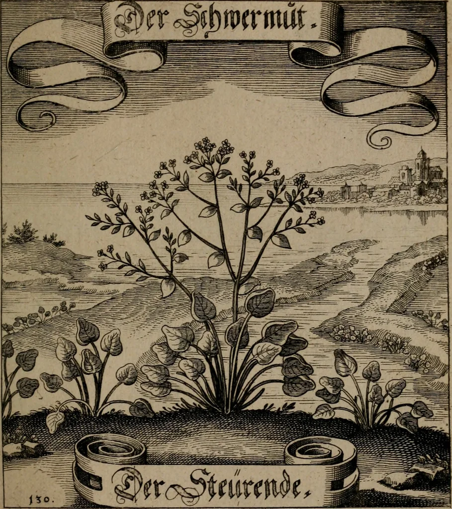 An illustration from Der Fruchtbringenden Geselschaft Nahmen, Vorhaben, Gemählde und Wörter : nach jedes Einnahme ordentlich in Kupfer gestochen, und in achtzeilige Reimgesetze verfasset, 1646, leaf 274