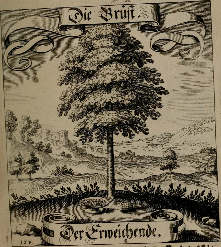 An illustration from Der Fruchtbringenden Geselschaft Nahmen, Vorhaben, Gemählde und Wörter : nach jedes Einnahme ordentlich in Kupfer gestochen, und in achtzeilige Reimgesetze verfasset, 1646, leaf 278