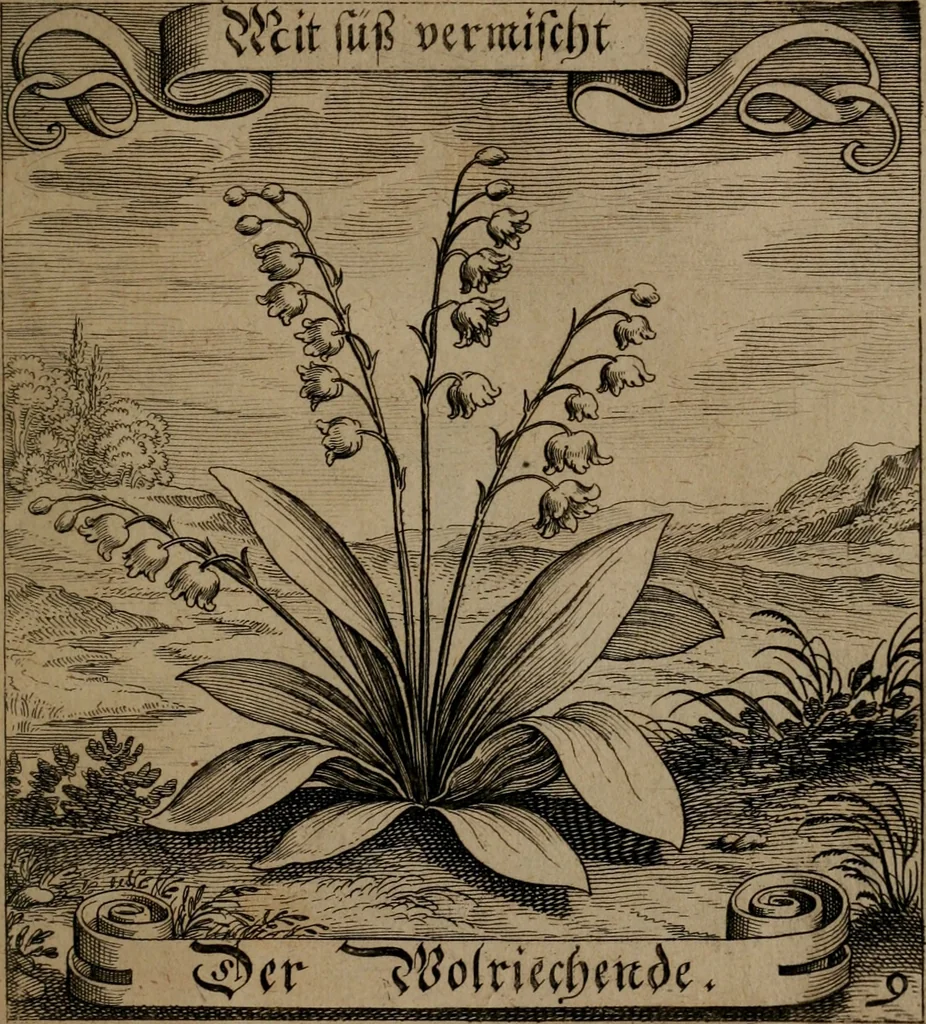 An illustration from Der Fruchtbringenden Geselschaft Nahmen, Vorhaben, Gemählde und Wörter : nach jedes Einnahme ordentlich in Kupfer gestochen, und in achtzeilige Reimgesetze verfasset, 1646, leaf 28