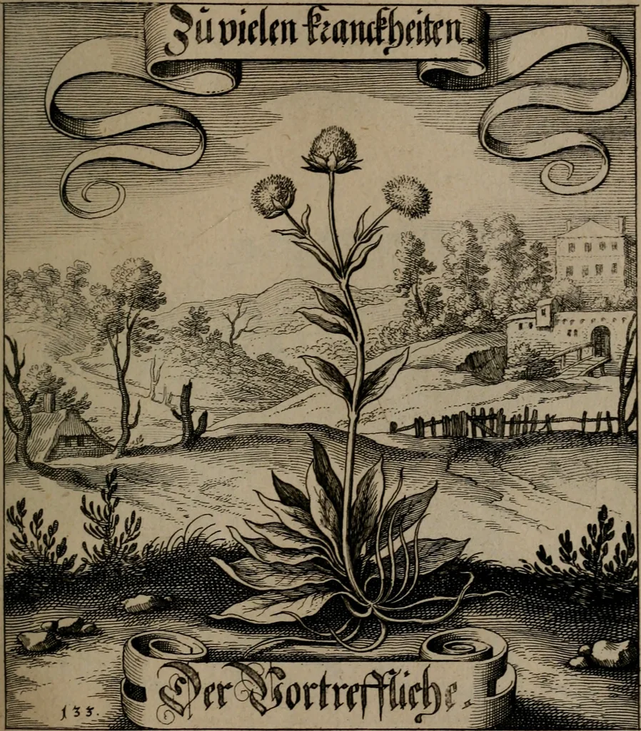 An illustration from Der Fruchtbringenden Geselschaft Nahmen, Vorhaben, Gemählde und Wörter : nach jedes Einnahme ordentlich in Kupfer gestochen, und in achtzeilige Reimgesetze verfasset, 1646, leaf 280