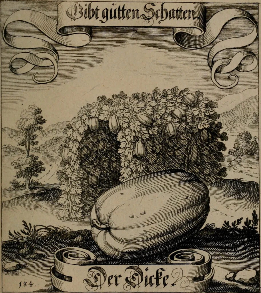 An illustration from Der Fruchtbringenden Geselschaft Nahmen, Vorhaben, Gemählde und Wörter : nach jedes Einnahme ordentlich in Kupfer gestochen, und in achtzeilige Reimgesetze verfasset, 1646, leaf 282
