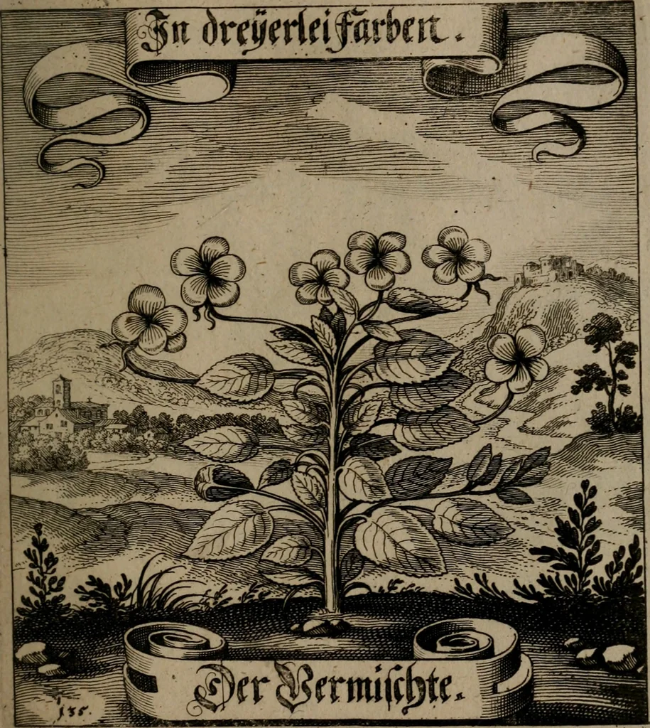 An illustration from Der Fruchtbringenden Geselschaft Nahmen, Vorhaben, Gemählde und Wörter : nach jedes Einnahme ordentlich in Kupfer gestochen, und in achtzeilige Reimgesetze verfasset, 1646, leaf 284