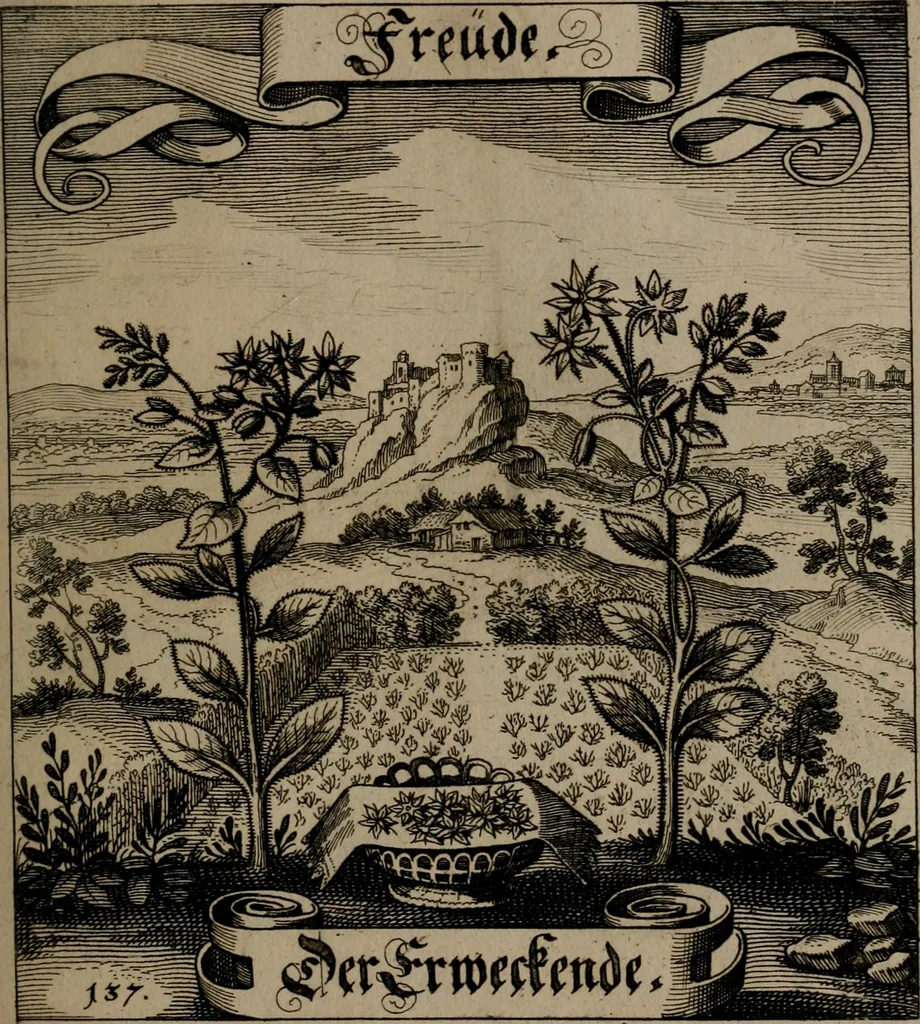 An illustration from Der Fruchtbringenden Geselschaft Nahmen, Vorhaben, Gemählde und Wörter : nach jedes Einnahme ordentlich in Kupfer gestochen, und in achtzeilige Reimgesetze verfasset, 1646, leaf 288