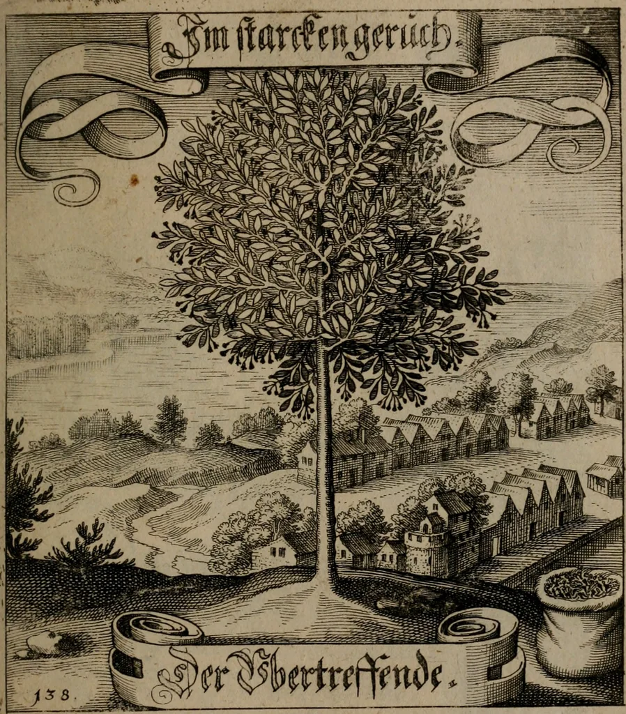 An illustration from Der Fruchtbringenden Geselschaft Nahmen, Vorhaben, Gemählde und Wörter : nach jedes Einnahme ordentlich in Kupfer gestochen, und in achtzeilige Reimgesetze verfasset, 1646, leaf 290