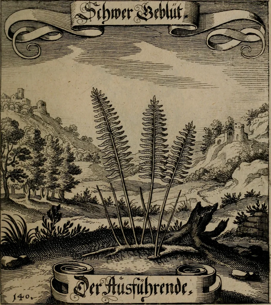 An illustration from Der Fruchtbringenden Geselschaft Nahmen, Vorhaben, Gemählde und Wörter : nach jedes Einnahme ordentlich in Kupfer gestochen, und in achtzeilige Reimgesetze verfasset, 1646, leaf 294