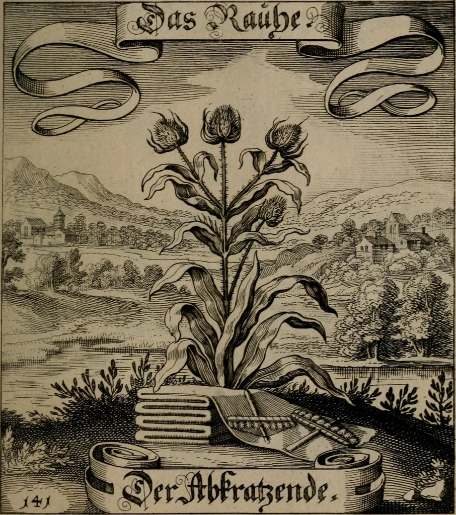 An illustration from Der Fruchtbringenden Geselschaft Nahmen, Vorhaben, Gemählde und Wörter : nach jedes Einnahme ordentlich in Kupfer gestochen, und in achtzeilige Reimgesetze verfasset, 1646, leaf 296