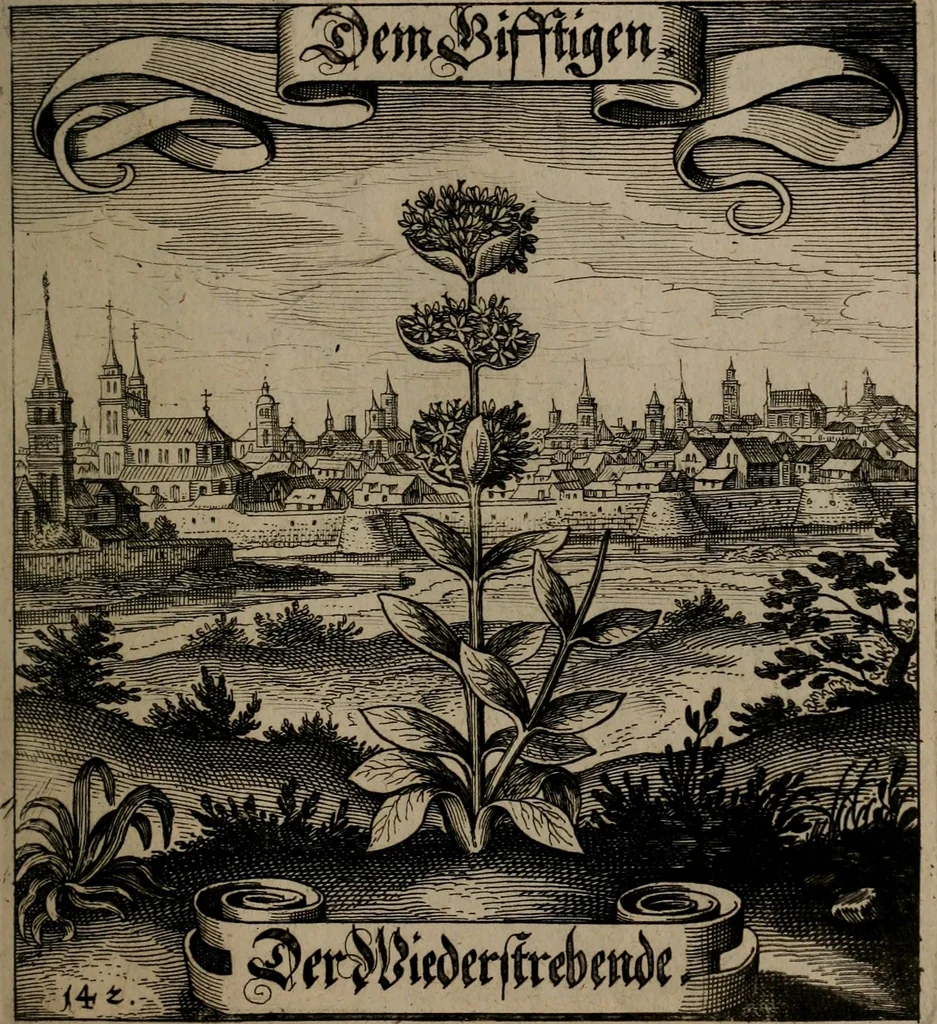 An illustration from Der Fruchtbringenden Geselschaft Nahmen, Vorhaben, Gemählde und Wörter : nach jedes Einnahme ordentlich in Kupfer gestochen, und in achtzeilige Reimgesetze verfasset, 1646, leaf 298
