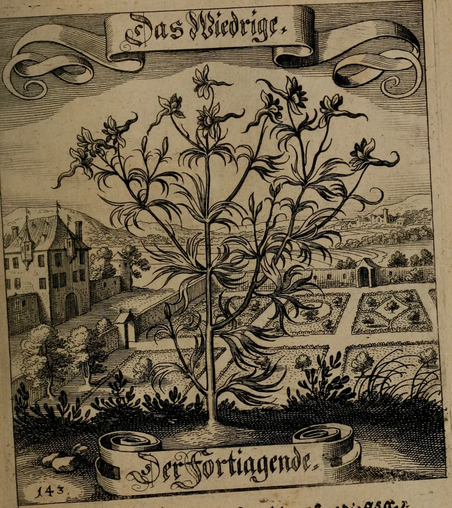 An illustration from Der Fruchtbringenden Geselschaft Nahmen, Vorhaben, Gemählde und Wörter : nach jedes Einnahme ordentlich in Kupfer gestochen, und in achtzeilige Reimgesetze verfasset, 1646, leaf 300