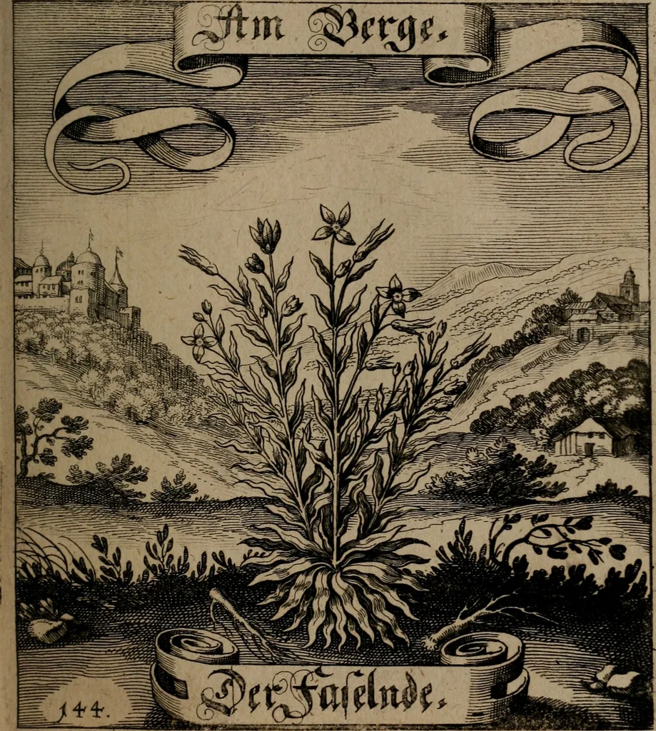 An illustration from Der Fruchtbringenden Geselschaft Nahmen, Vorhaben, Gemählde und Wörter : nach jedes Einnahme ordentlich in Kupfer gestochen, und in achtzeilige Reimgesetze verfasset, 1646, leaf 302