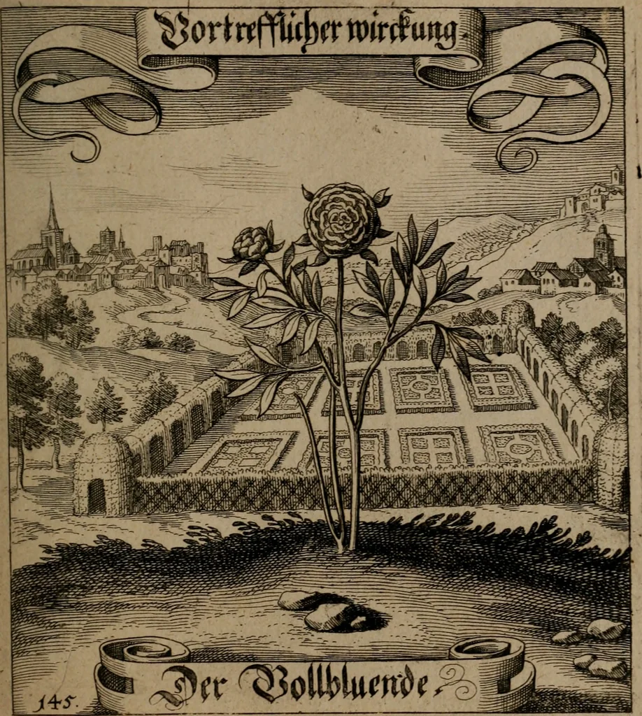 An illustration from Der Fruchtbringenden Geselschaft Nahmen, Vorhaben, Gemählde und Wörter : nach jedes Einnahme ordentlich in Kupfer gestochen, und in achtzeilige Reimgesetze verfasset, 1646, leaf 304