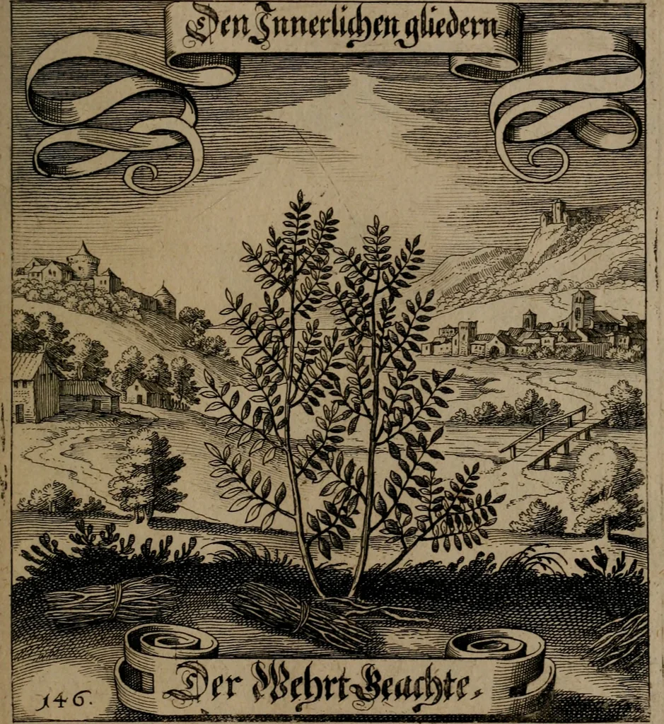 An illustration from Der Fruchtbringenden Geselschaft Nahmen, Vorhaben, Gemählde und Wörter : nach jedes Einnahme ordentlich in Kupfer gestochen, und in achtzeilige Reimgesetze verfasset, 1646, leaf 306