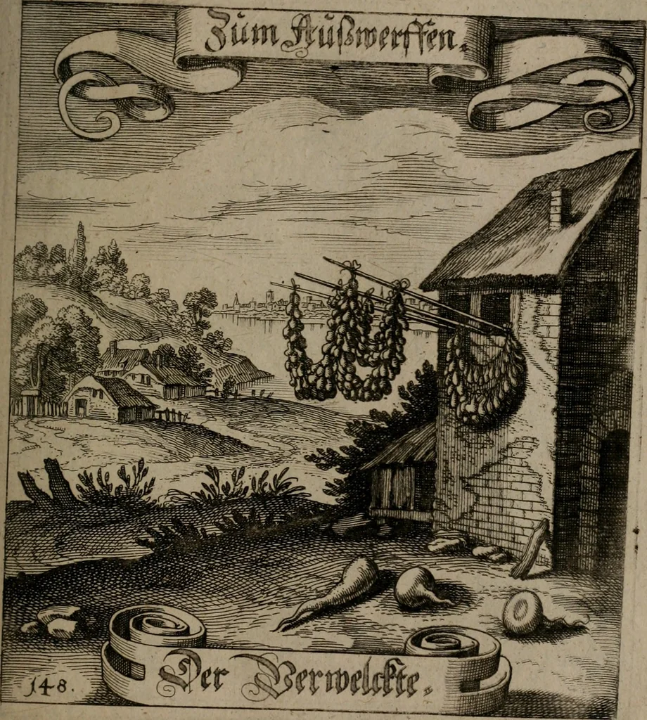 An illustration from Der Fruchtbringenden Geselschaft Nahmen, Vorhaben, Gemählde und Wörter : nach jedes Einnahme ordentlich in Kupfer gestochen, und in achtzeilige Reimgesetze verfasset, 1646, leaf 310