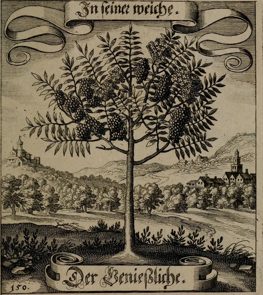An illustration from Der Fruchtbringenden Geselschaft Nahmen, Vorhaben, Gemählde und Wörter : nach jedes Einnahme ordentlich in Kupfer gestochen, und in achtzeilige Reimgesetze verfasset, 1646, leaf 314