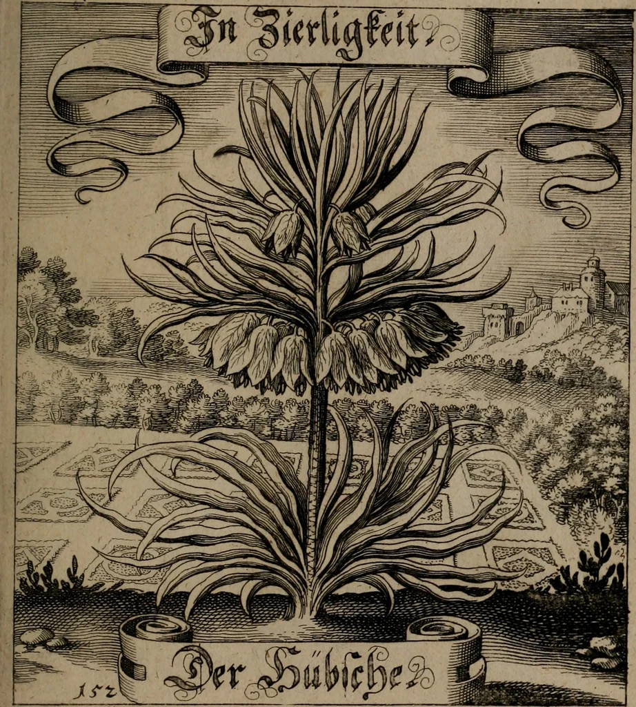 An illustration from Der Fruchtbringenden Geselschaft Nahmen, Vorhaben, Gemählde und Wörter : nach jedes Einnahme ordentlich in Kupfer gestochen, und in achtzeilige Reimgesetze verfasset, 1646, leaf 318