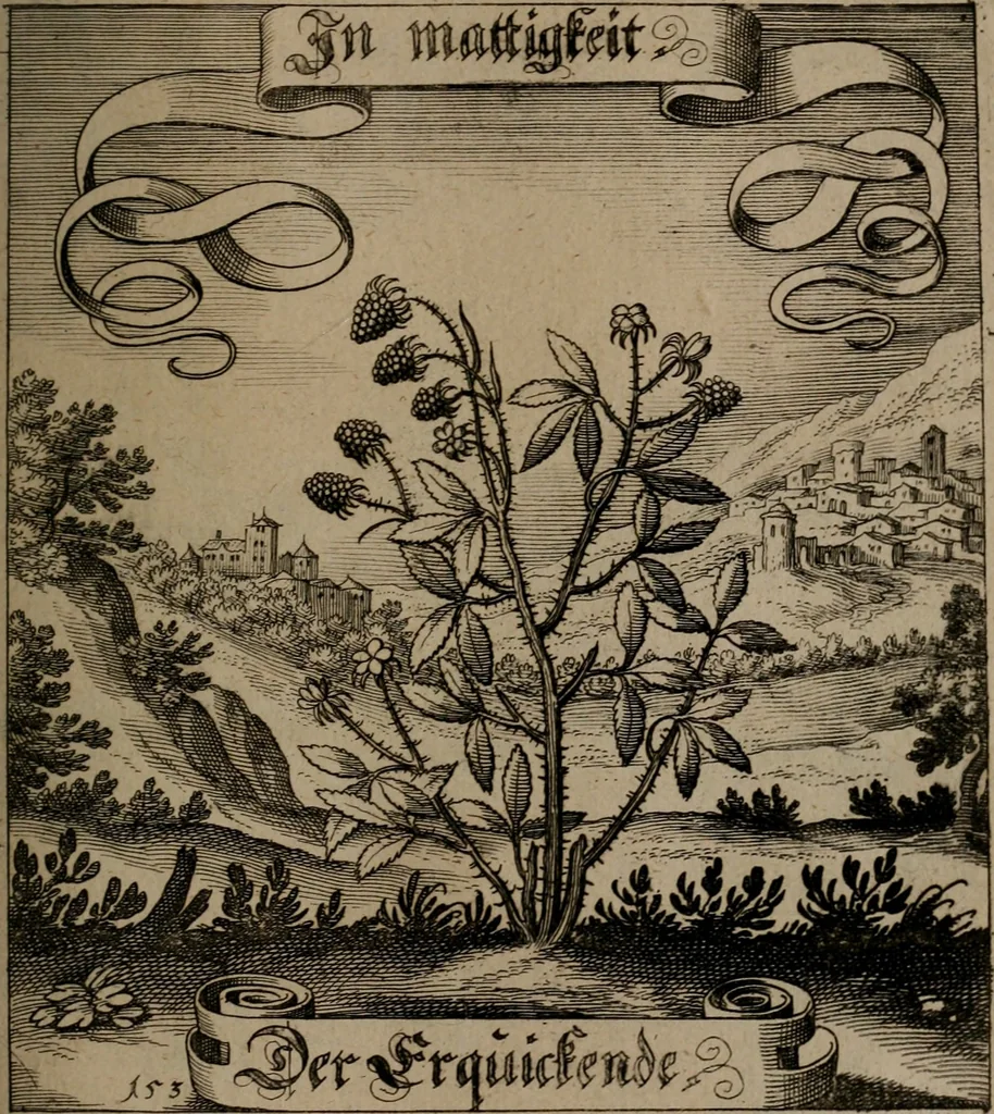An illustration from Der Fruchtbringenden Geselschaft Nahmen, Vorhaben, Gemählde und Wörter : nach jedes Einnahme ordentlich in Kupfer gestochen, und in achtzeilige Reimgesetze verfasset, 1646, leaf 320
