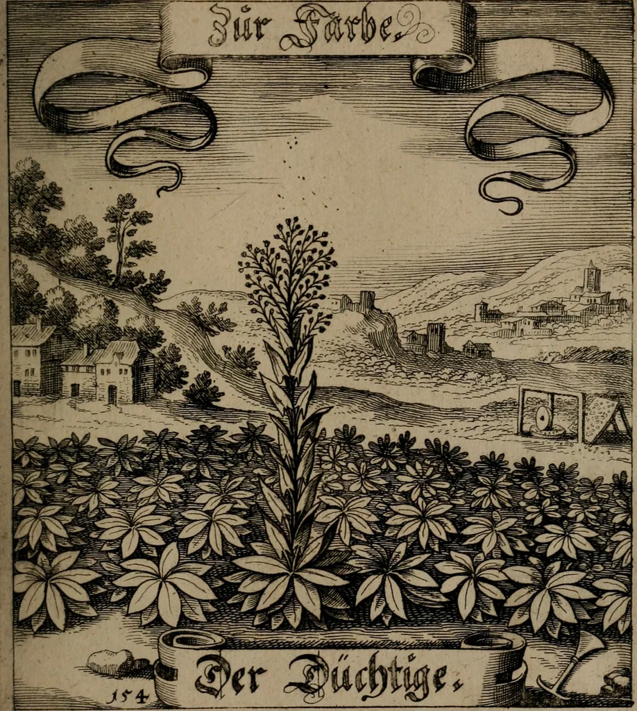 An illustration from Der Fruchtbringenden Geselschaft Nahmen, Vorhaben, Gemählde und Wörter : nach jedes Einnahme ordentlich in Kupfer gestochen, und in achtzeilige Reimgesetze verfasset, 1646, leaf 322