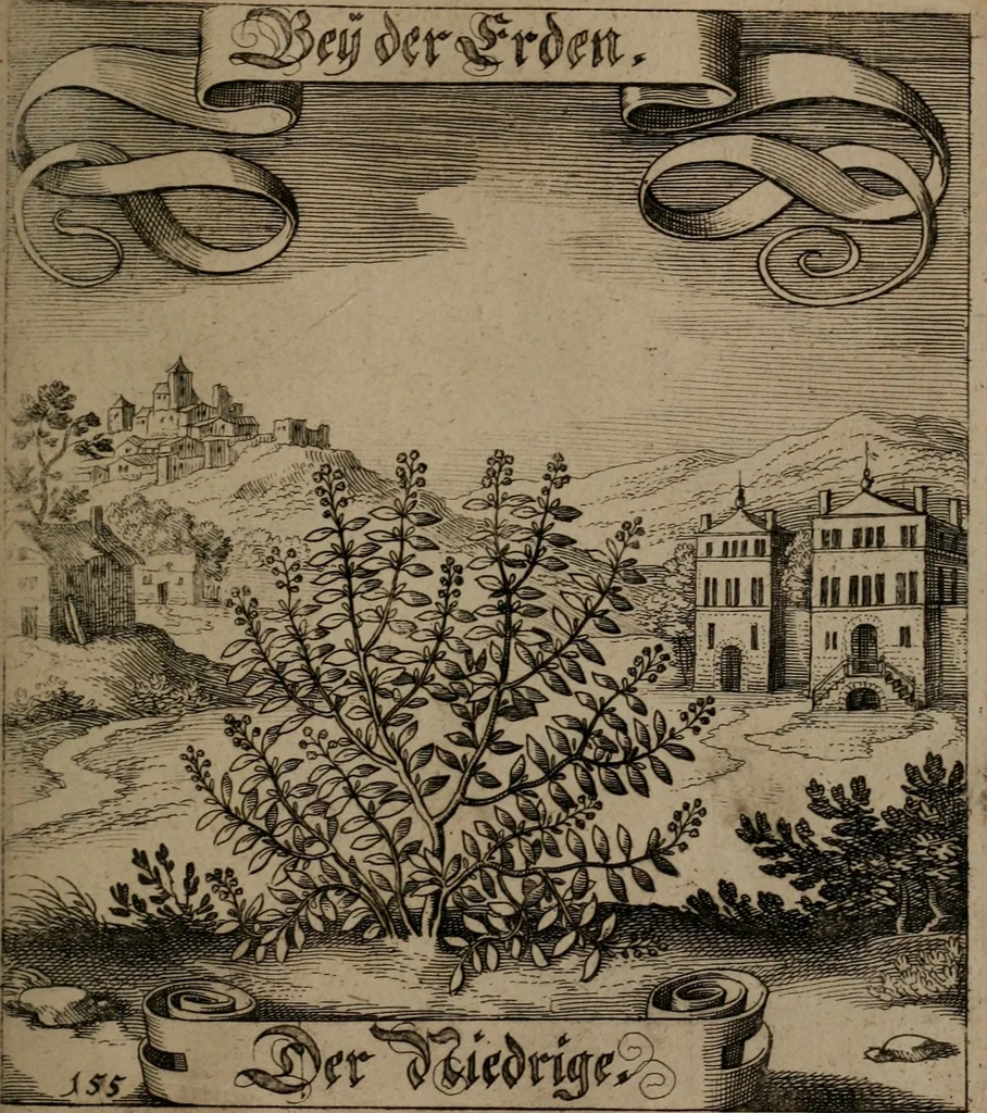 An illustration from Der Fruchtbringenden Geselschaft Nahmen, Vorhaben, Gemählde und Wörter : nach jedes Einnahme ordentlich in Kupfer gestochen, und in achtzeilige Reimgesetze verfasset, 1646, leaf 324