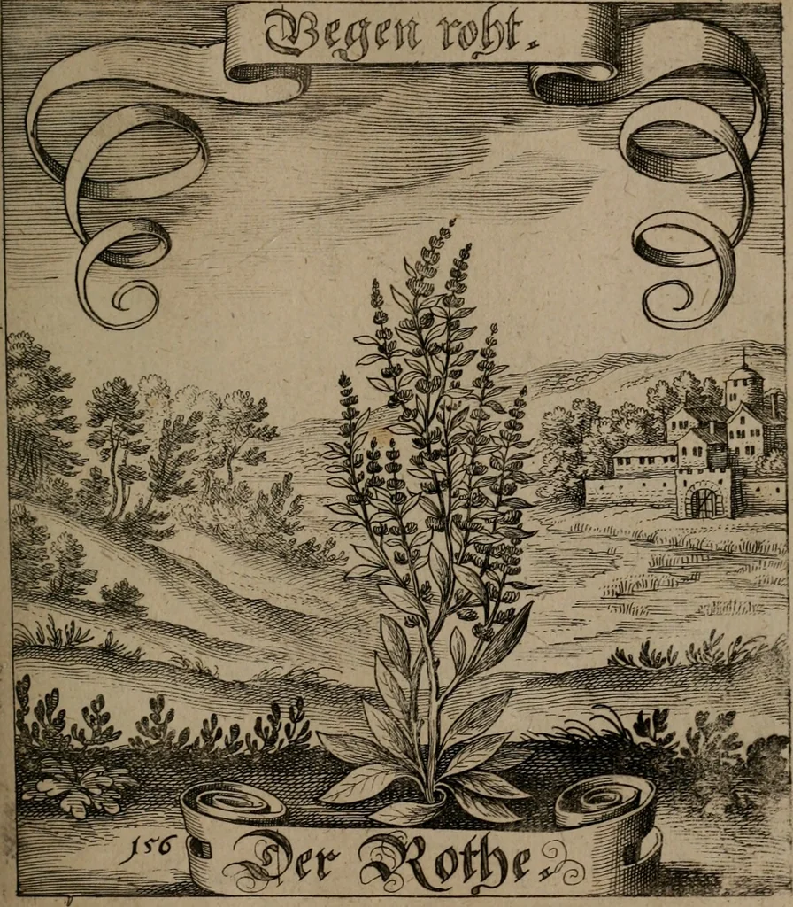 An illustration from Der Fruchtbringenden Geselschaft Nahmen, Vorhaben, Gemählde und Wörter : nach jedes Einnahme ordentlich in Kupfer gestochen, und in achtzeilige Reimgesetze verfasset, 1646, leaf 326