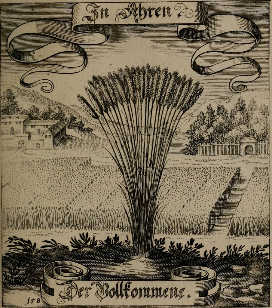 An illustration from Der Fruchtbringenden Geselschaft Nahmen, Vorhaben, Gemählde und Wörter : nach jedes Einnahme ordentlich in Kupfer gestochen, und in achtzeilige Reimgesetze verfasset, 1646, leaf 330