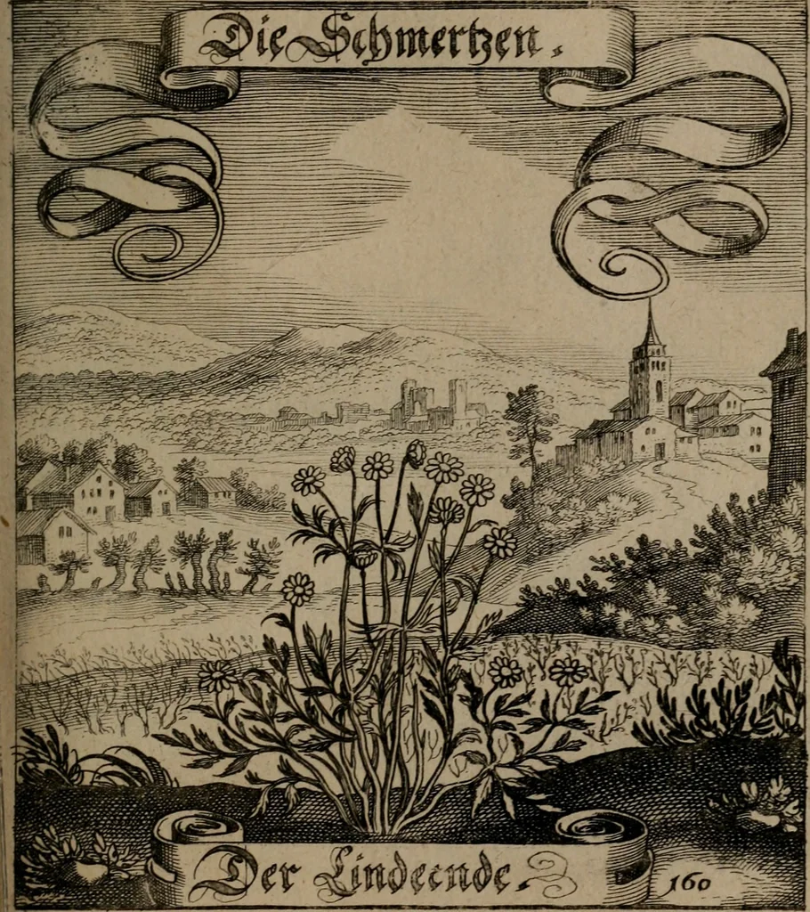 An illustration from Der Fruchtbringenden Geselschaft Nahmen, Vorhaben, Gemählde und Wörter : nach jedes Einnahme ordentlich in Kupfer gestochen, und in achtzeilige Reimgesetze verfasset, 1646, leaf 334