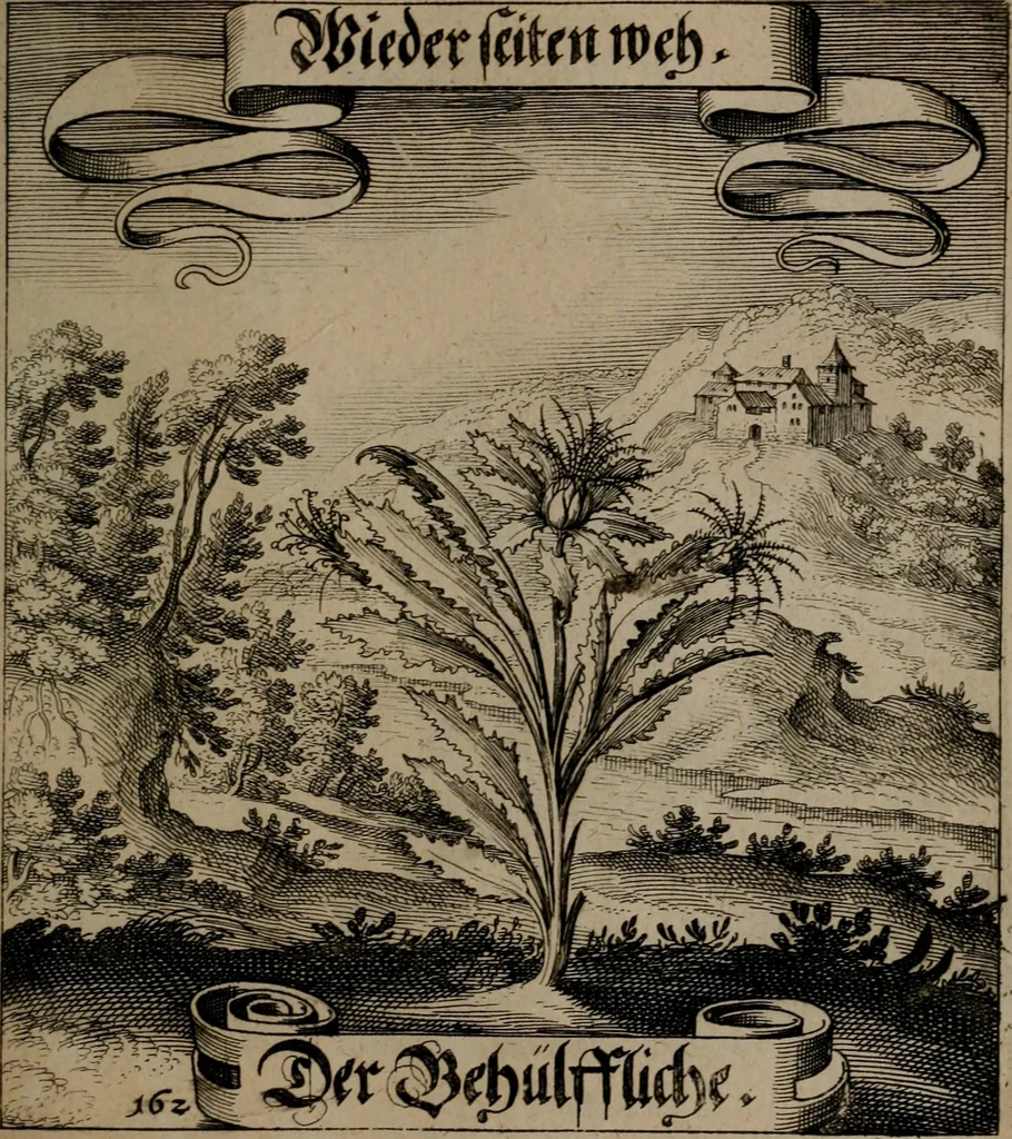 An illustration from Der Fruchtbringenden Geselschaft Nahmen, Vorhaben, Gemählde und Wörter : nach jedes Einnahme ordentlich in Kupfer gestochen, und in achtzeilige Reimgesetze verfasset, 1646, leaf 338