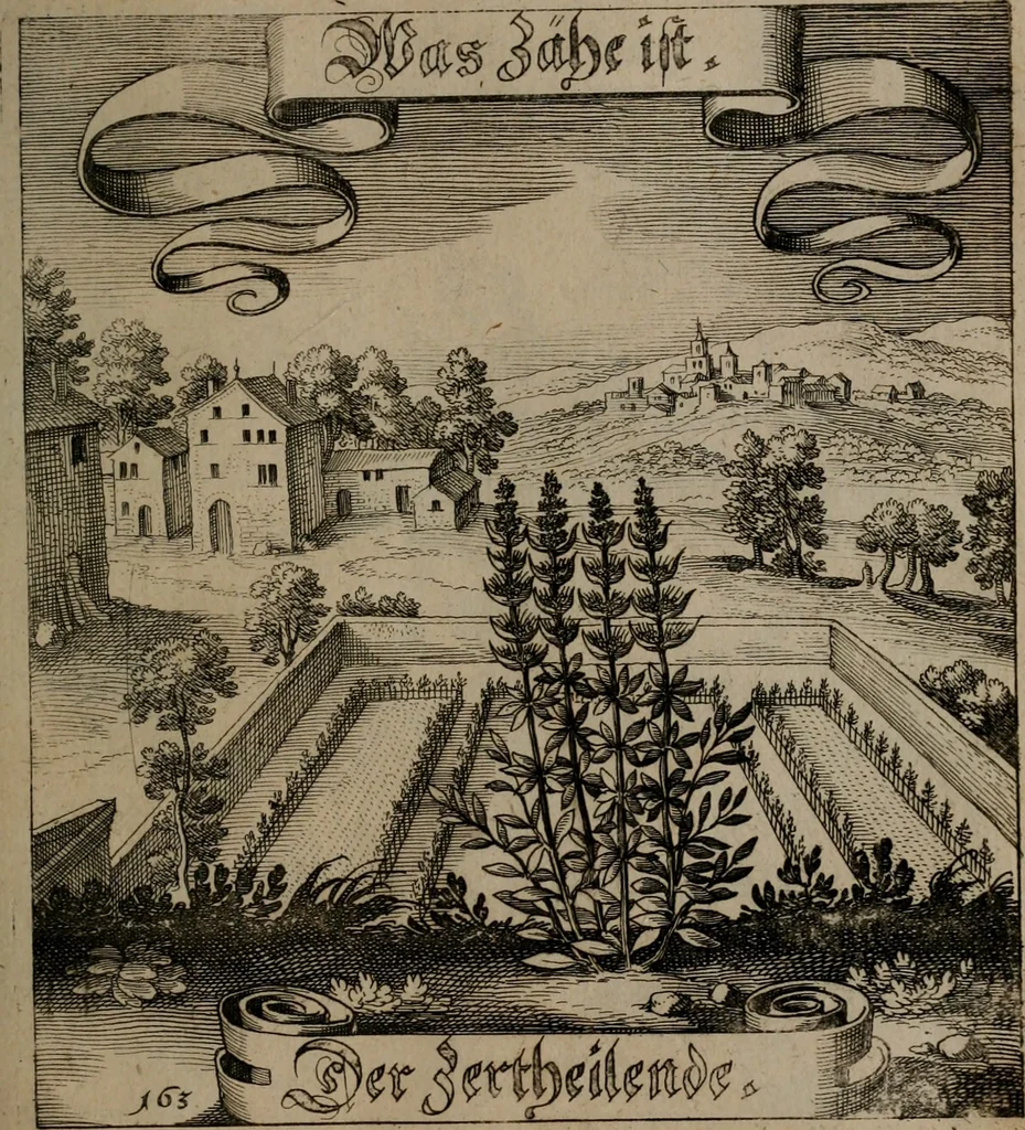 An illustration from Der Fruchtbringenden Geselschaft Nahmen, Vorhaben, Gemählde und Wörter : nach jedes Einnahme ordentlich in Kupfer gestochen, und in achtzeilige Reimgesetze verfasset, 1646, leaf 340