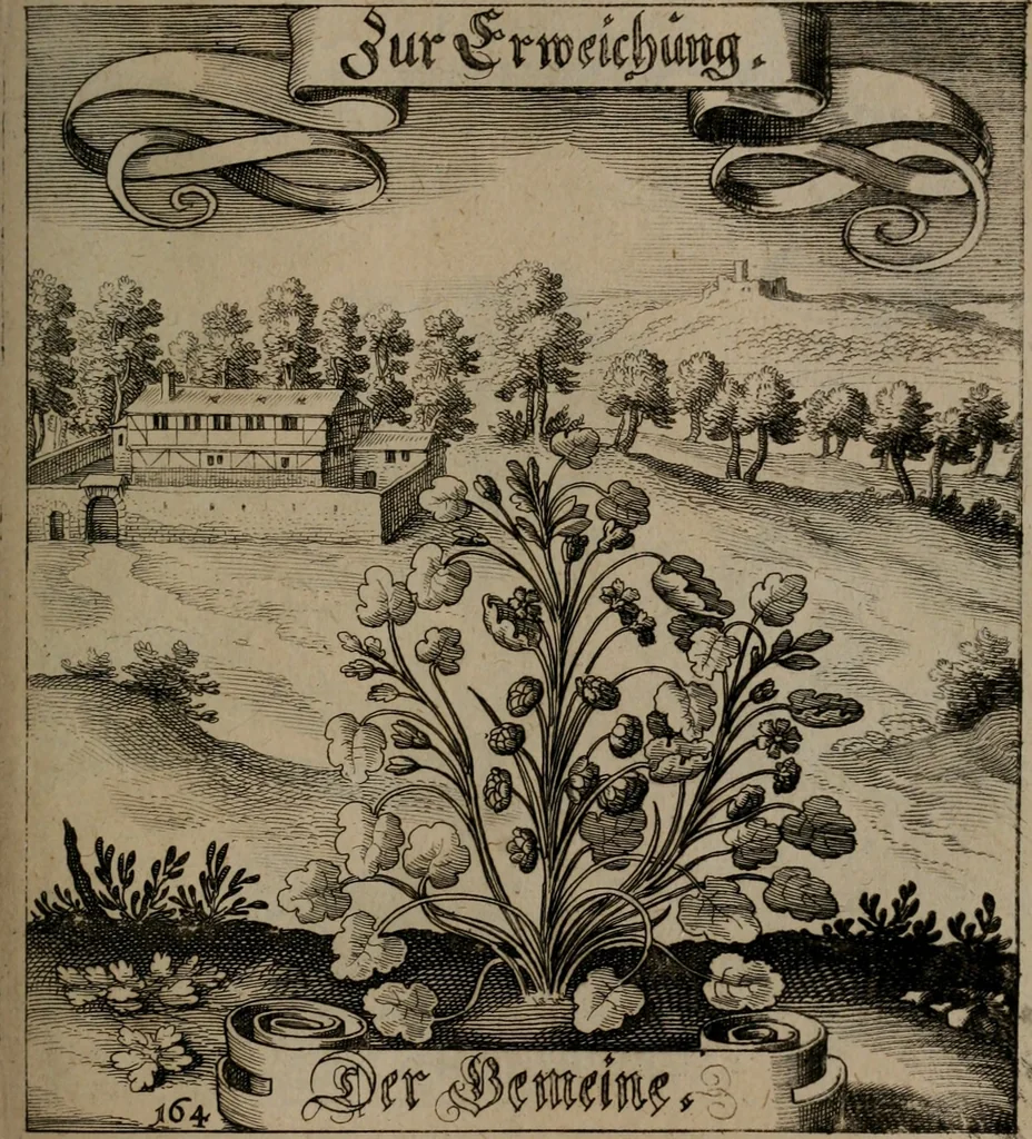 An illustration from Der Fruchtbringenden Geselschaft Nahmen, Vorhaben, Gemählde und Wörter : nach jedes Einnahme ordentlich in Kupfer gestochen, und in achtzeilige Reimgesetze verfasset, 1646, leaf 342