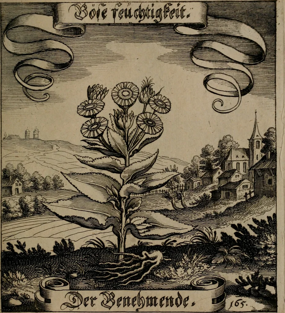 An illustration from Der Fruchtbringenden Geselschaft Nahmen, Vorhaben, Gemählde und Wörter : nach jedes Einnahme ordentlich in Kupfer gestochen, und in achtzeilige Reimgesetze verfasset, 1646, leaf 344