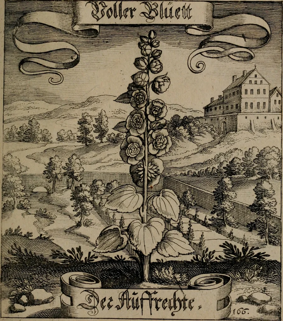 An illustration from Der Fruchtbringenden Geselschaft Nahmen, Vorhaben, Gemählde und Wörter : nach jedes Einnahme ordentlich in Kupfer gestochen, und in achtzeilige Reimgesetze verfasset, 1646, leaf 346