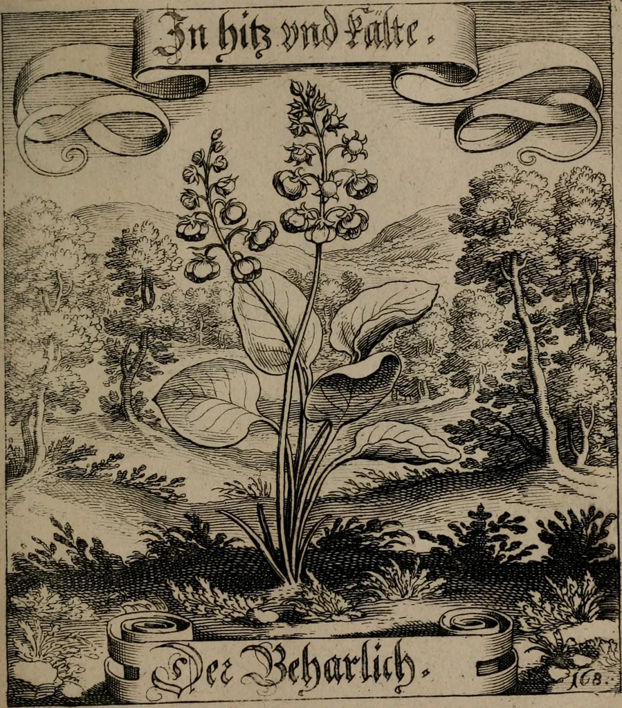 An illustration from Der Fruchtbringenden Geselschaft Nahmen, Vorhaben, Gemählde und Wörter : nach jedes Einnahme ordentlich in Kupfer gestochen, und in achtzeilige Reimgesetze verfasset, 1646, leaf 350