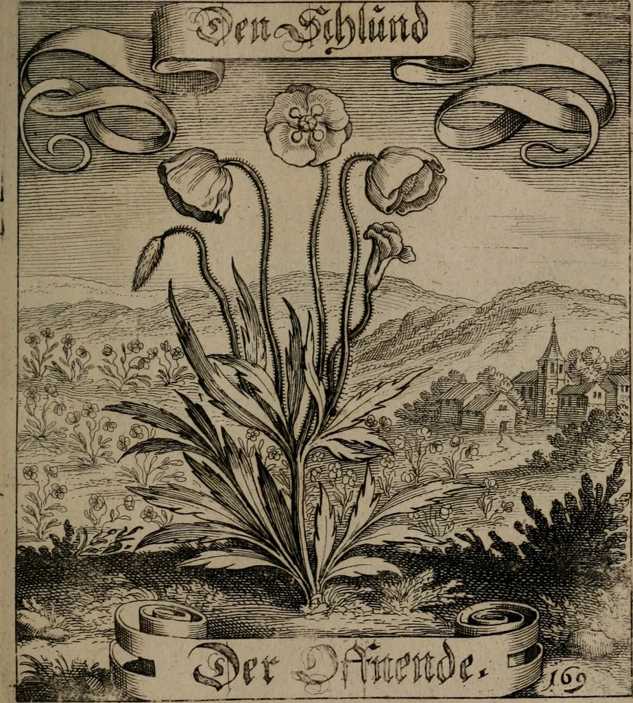 An illustration from Der Fruchtbringenden Geselschaft Nahmen, Vorhaben, Gemählde und Wörter : nach jedes Einnahme ordentlich in Kupfer gestochen, und in achtzeilige Reimgesetze verfasset, 1646, leaf 352