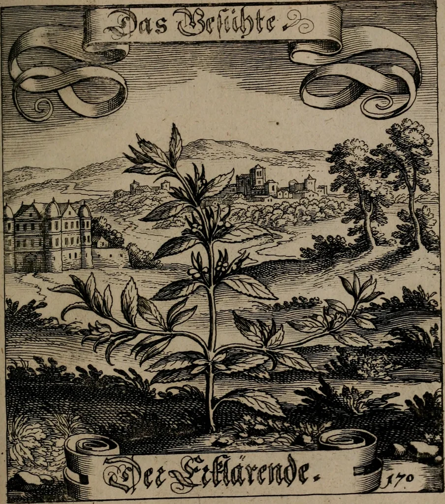 An illustration from Der Fruchtbringenden Geselschaft Nahmen, Vorhaben, Gemählde und Wörter : nach jedes Einnahme ordentlich in Kupfer gestochen, und in achtzeilige Reimgesetze verfasset, 1646, leaf 354