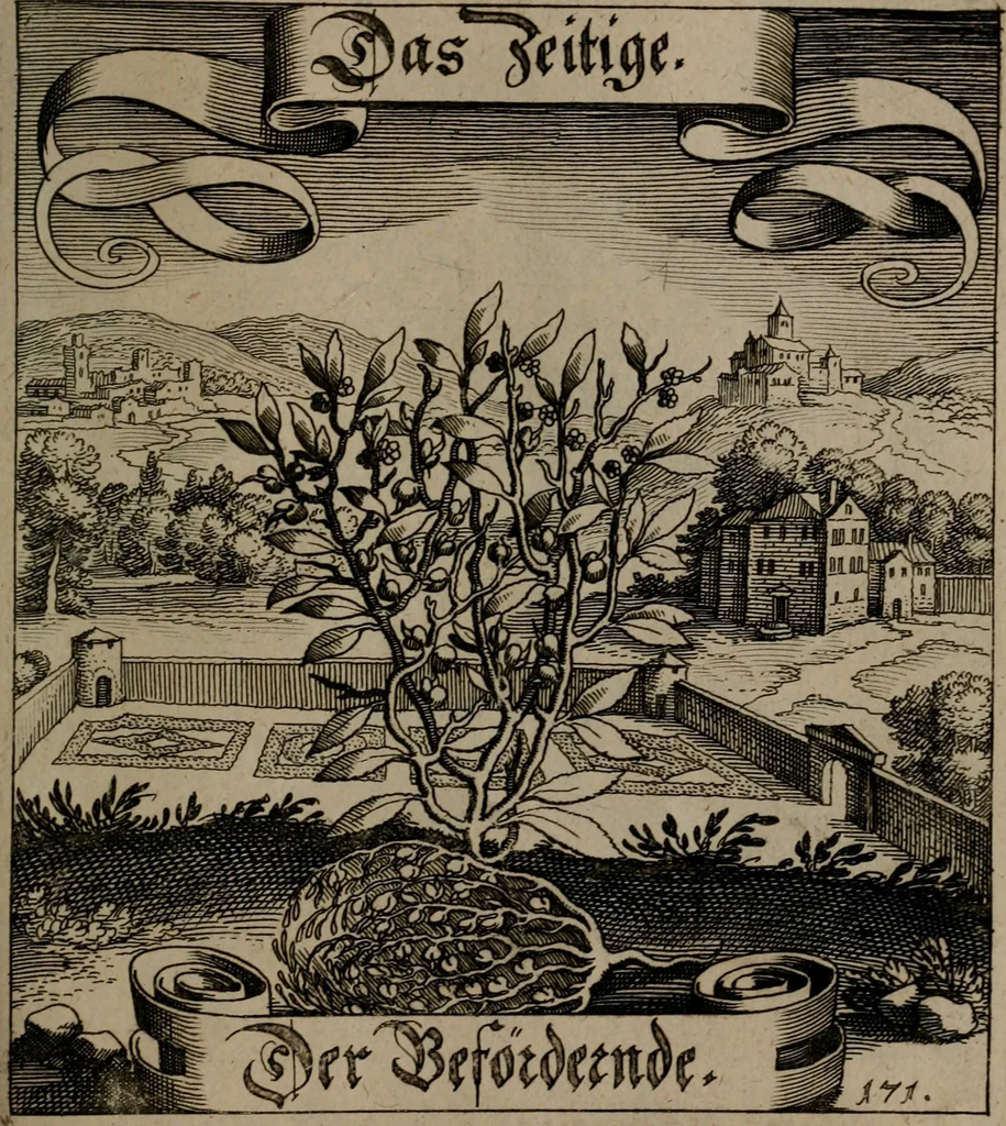 An illustration from Der Fruchtbringenden Geselschaft Nahmen, Vorhaben, Gemählde und Wörter : nach jedes Einnahme ordentlich in Kupfer gestochen, und in achtzeilige Reimgesetze verfasset, 1646, leaf 356