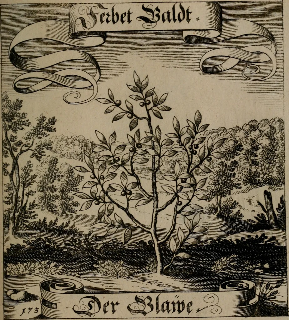 An illustration from Der Fruchtbringenden Geselschaft Nahmen, Vorhaben, Gemählde und Wörter : nach jedes Einnahme ordentlich in Kupfer gestochen, und in achtzeilige Reimgesetze verfasset, 1646, leaf 360