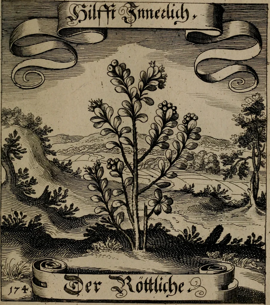 An illustration from Der Fruchtbringenden Geselschaft Nahmen, Vorhaben, Gemählde und Wörter : nach jedes Einnahme ordentlich in Kupfer gestochen, und in achtzeilige Reimgesetze verfasset, 1646, leaf 362