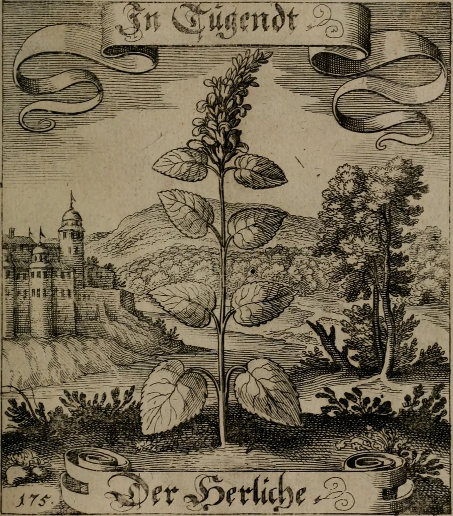 An illustration from Der Fruchtbringenden Geselschaft Nahmen, Vorhaben, Gemählde und Wörter : nach jedes Einnahme ordentlich in Kupfer gestochen, und in achtzeilige Reimgesetze verfasset, 1646, leaf 364